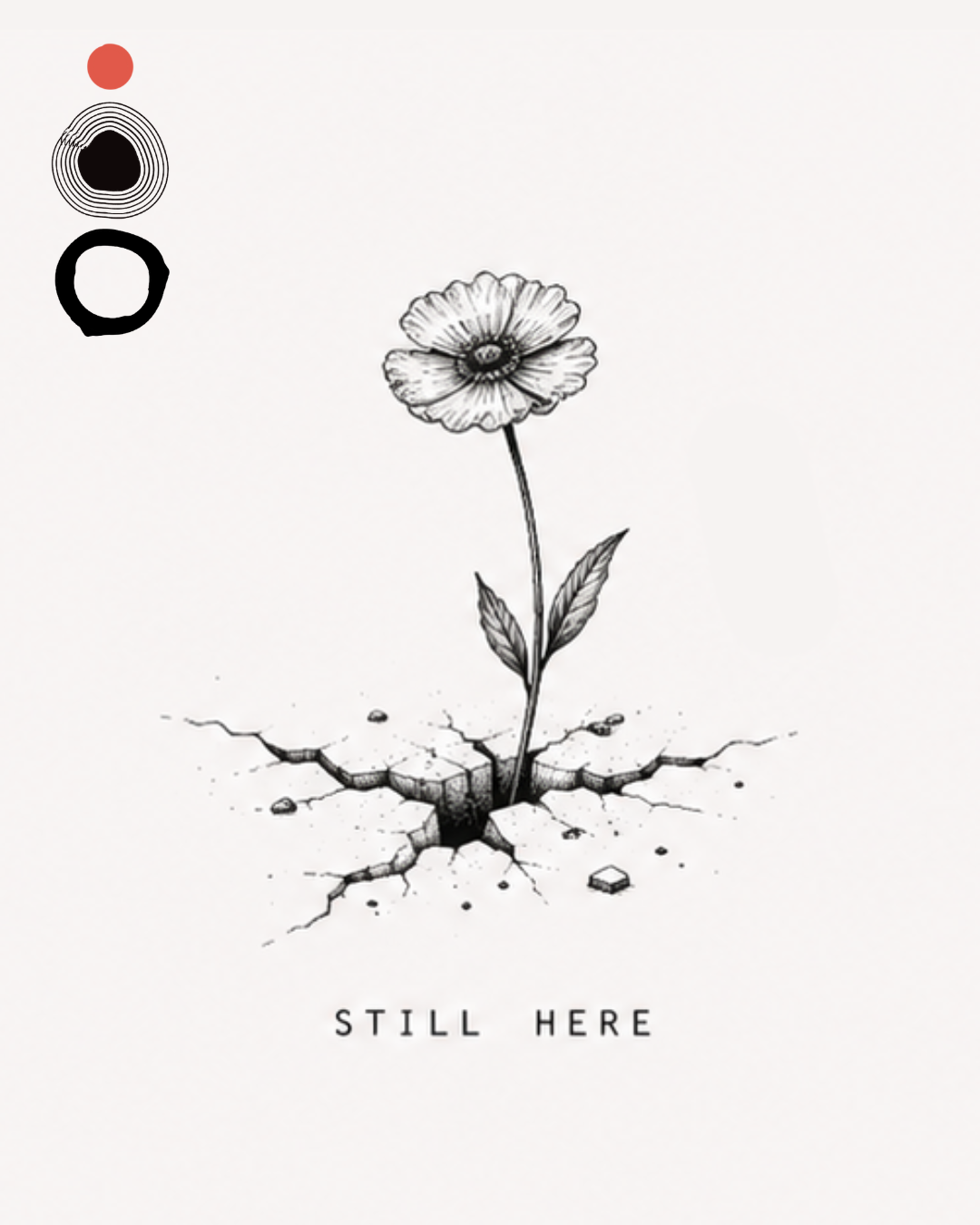 Fiore che cresce da una crepa con scritta Still Here