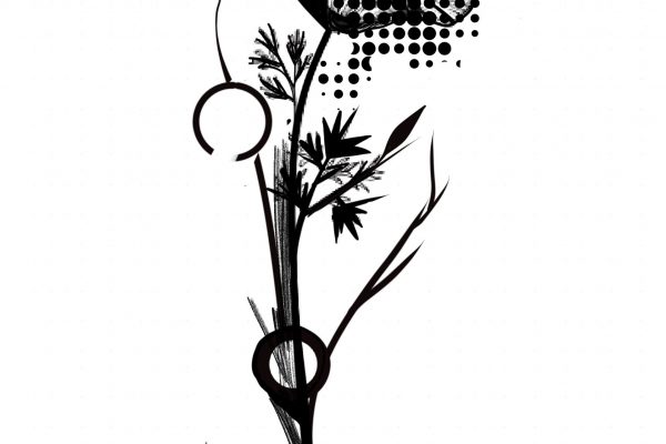 Fiore4Opera_senza_titolo
